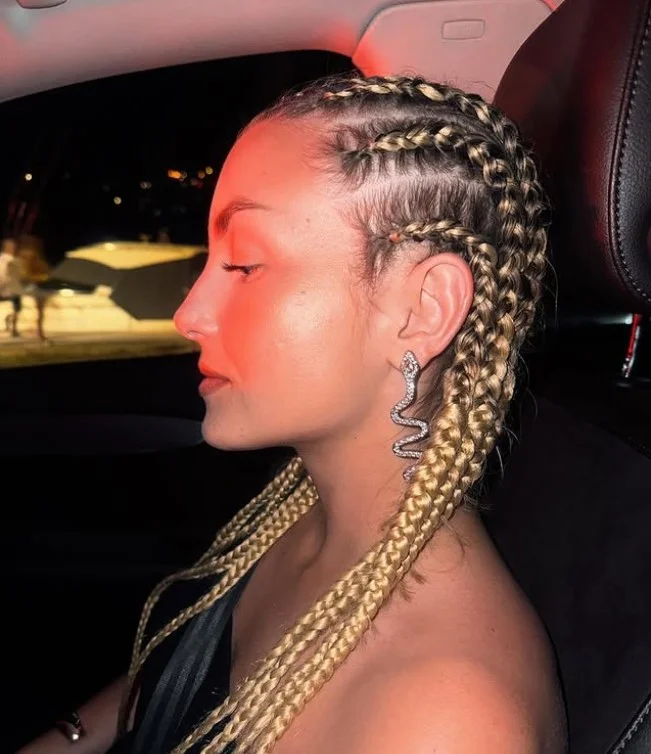 Colored cornrow braids hairstyles with highlights